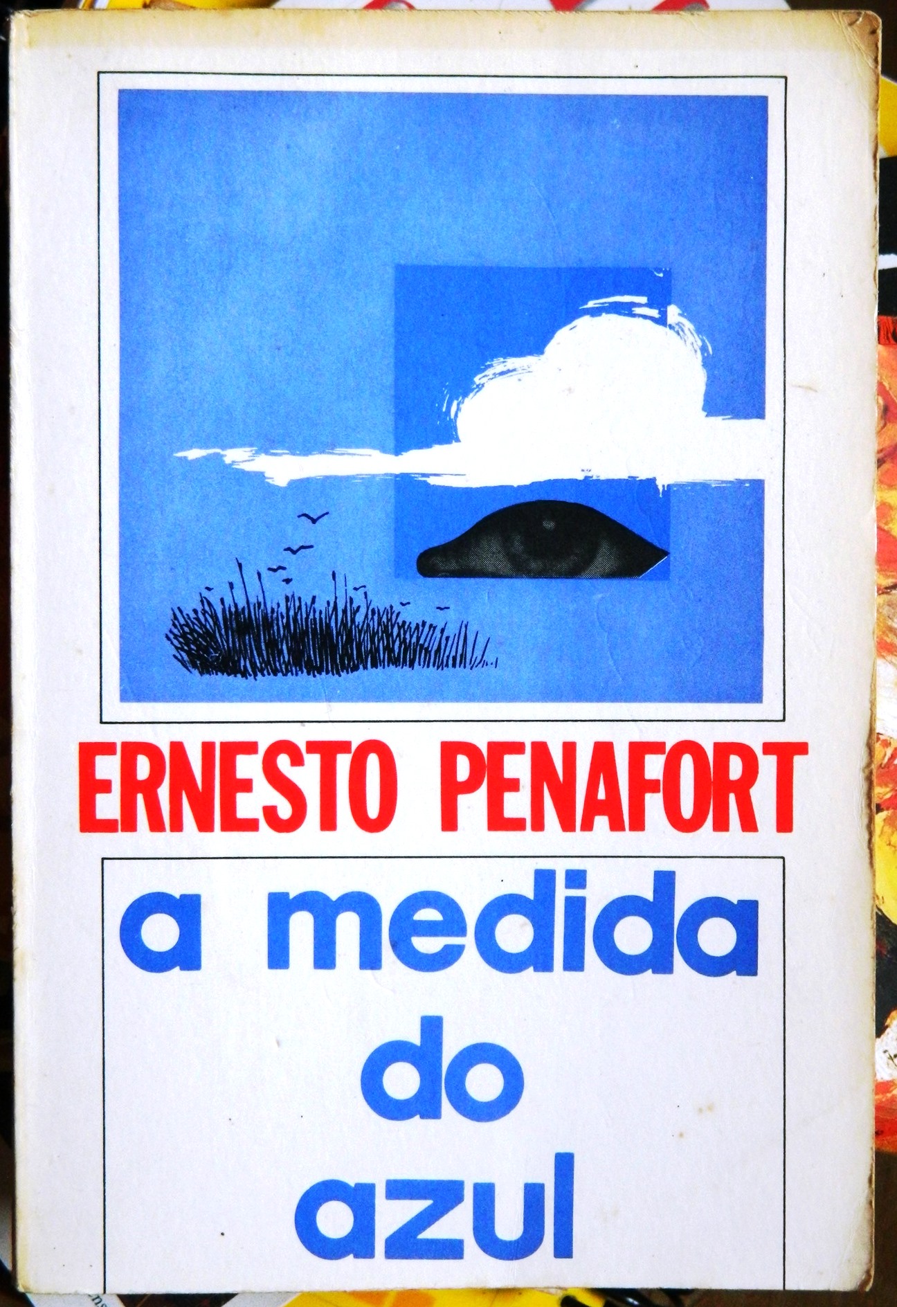 UM OLHAR SENSORIAL SOBRE A INFINIDADE AZUL-POÉTICA E A POIÉSIS DE ERNESTO PENAFORT 3 a medida do azul Ernesto Penafort