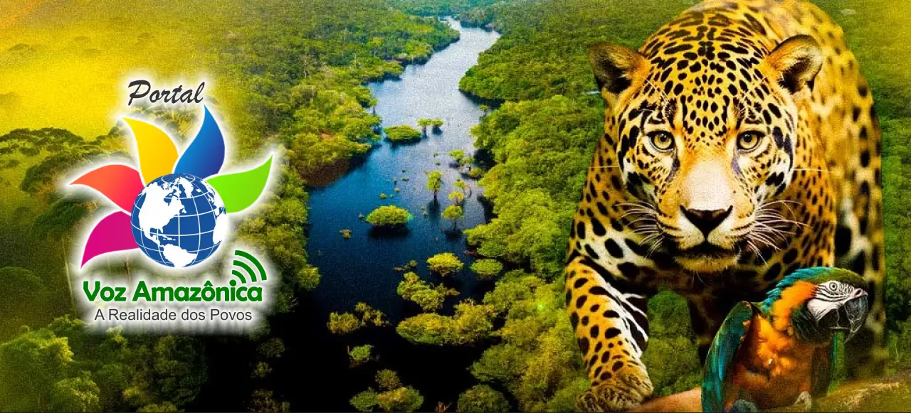 Portal Voz Amazônica