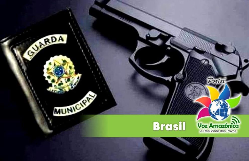 Foto: Divulgação/PVA