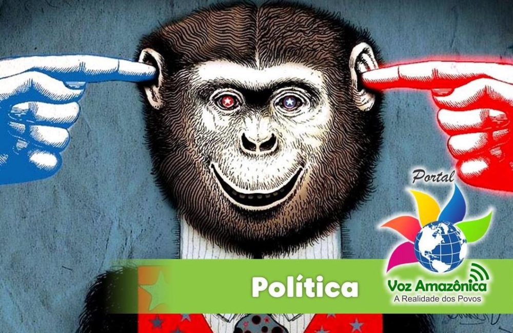 Fotos/Ilustrações: Divulgação/PVA