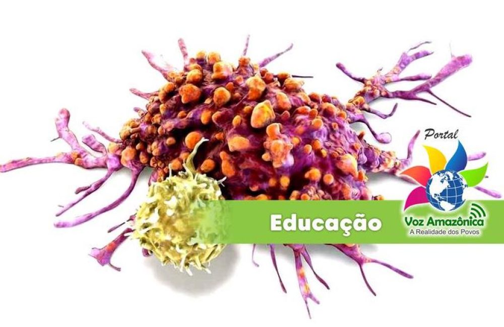 O câncer levanta uma infinidade de questões para os biólogos, muitas delas ainda sem resposta. Imagem: Divulgação/PVA.